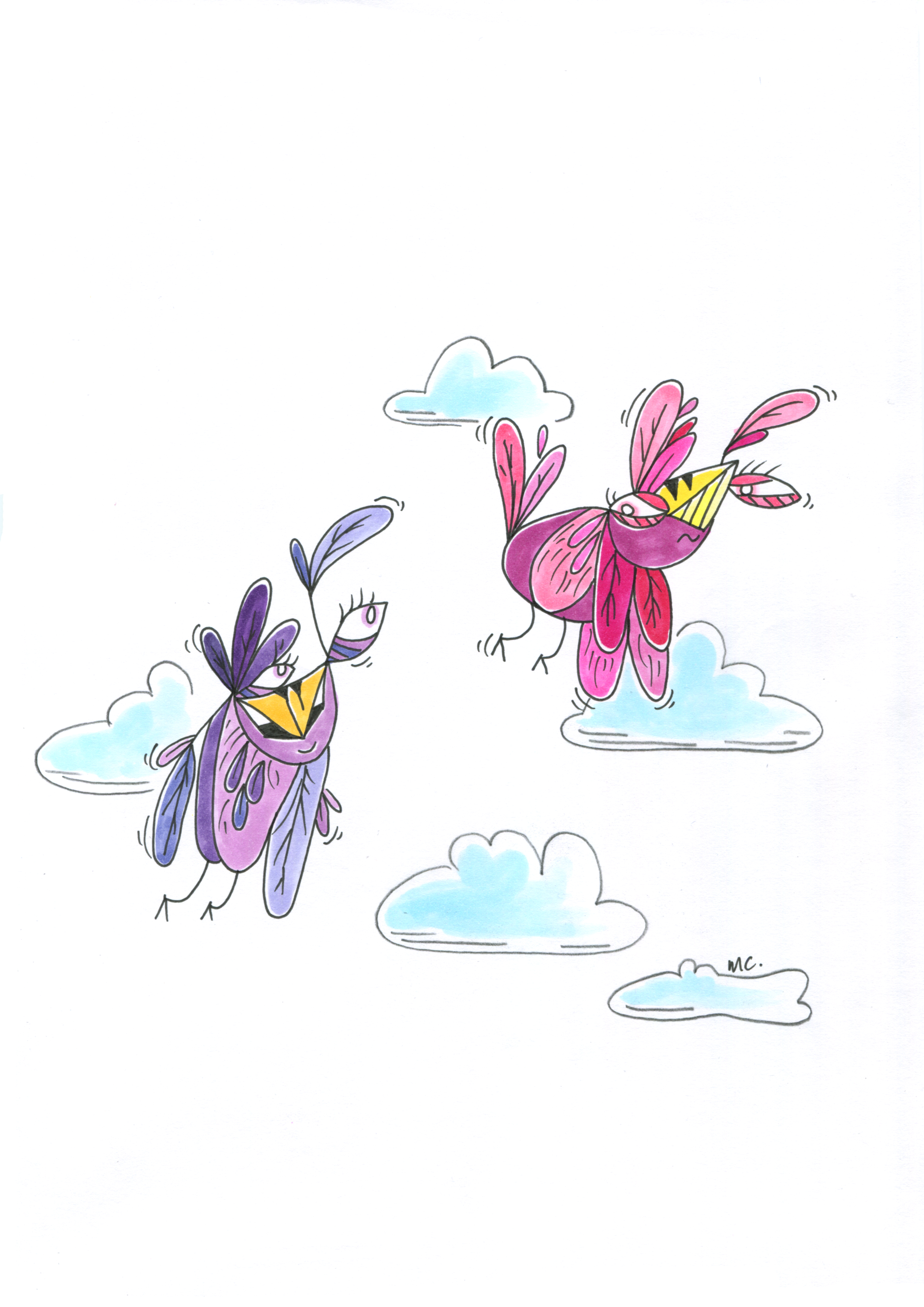 BIRDS-#2-Follow